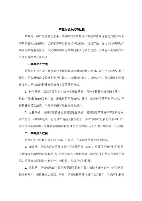 草莓生长方式和过程