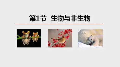 生物与非生物(PPT课件(初中科学)30张)