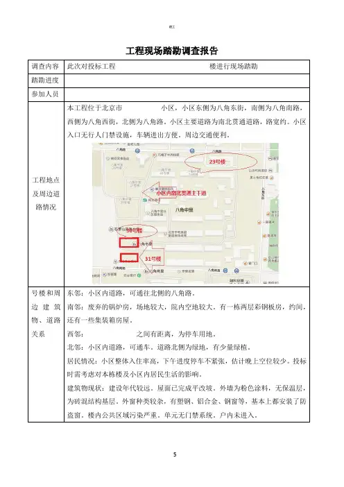 (完整版)项目现场踏勘调查报告(建文)