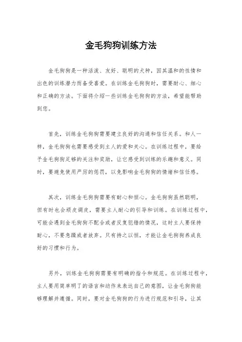 金毛狗狗训练方法