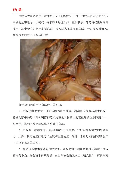 白蚁产生的原因及消灭方法