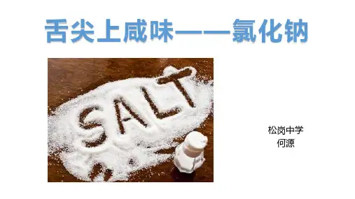 教学课件盐的化学性质