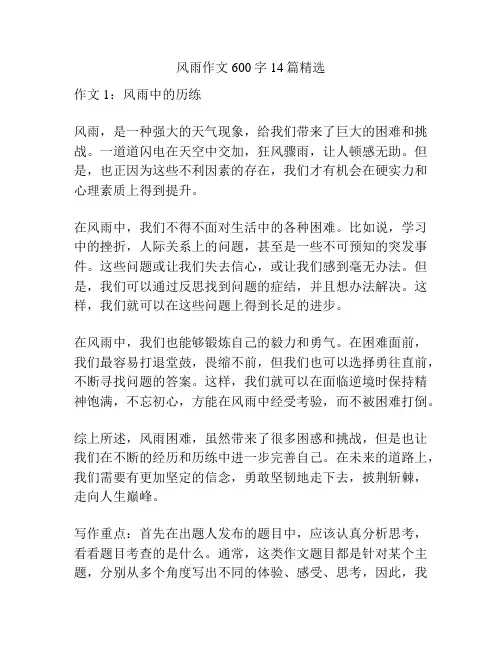 风雨作文600字14篇精选