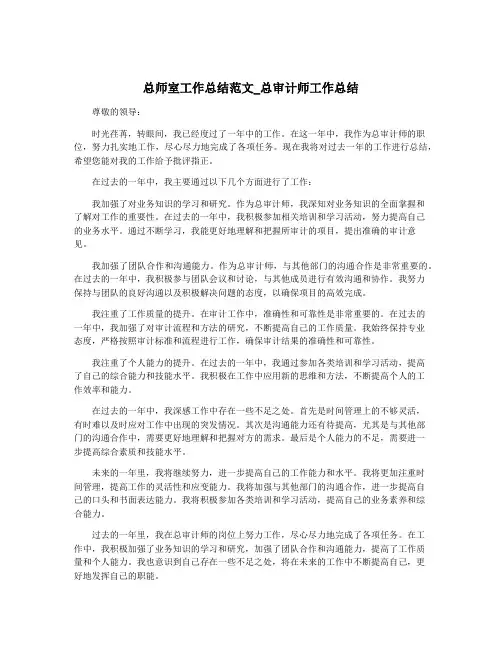 总师室工作总结范文_总审计师工作总结