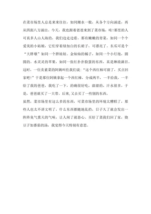 菜场寻美作文