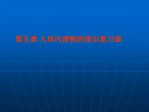 第五章人体内废物的排出复习课课件(人教版七年级生物下)