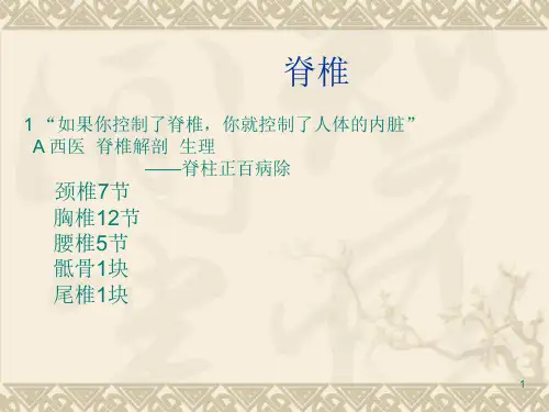 肩颈专业知识ppt课件