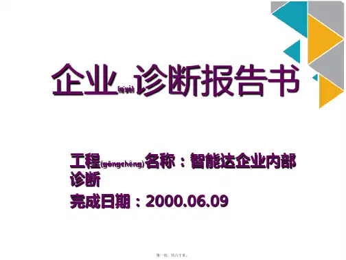 某企业内部诊断报告书(ppt版)