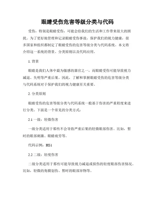 眼睛受伤危害等级分类与代码