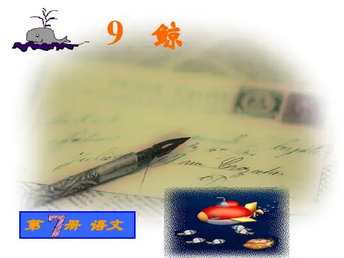 小学五年级上册语文第九课鲸精品PPT课件