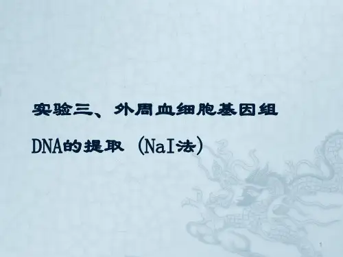 细胞外周血DNA提取ppt课件