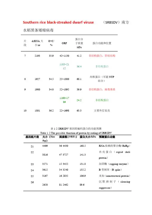 病毒分类