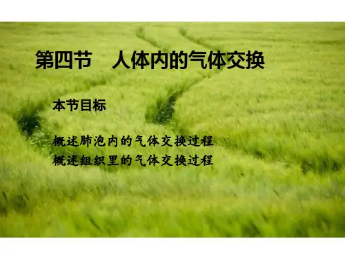 苏教版初中生物七年级下册课件-4.10.4 人体内的气体交换6