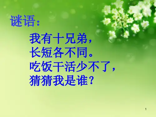 中小学主题班会课件—自己的事情自己做(共13张PPT)
