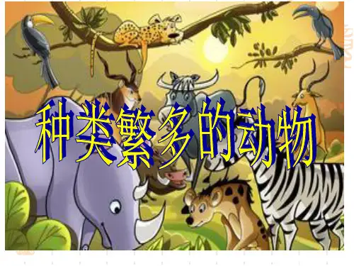 六年级上册科学课件 种类繁多的动物教科版 (共25页)PPT