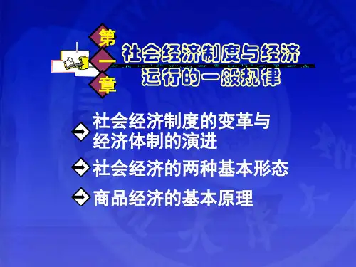 社会经济制度与经济运行一般规律