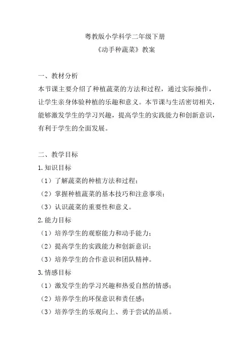 粤教版小学科学二年级下册《动手种蔬菜》教案