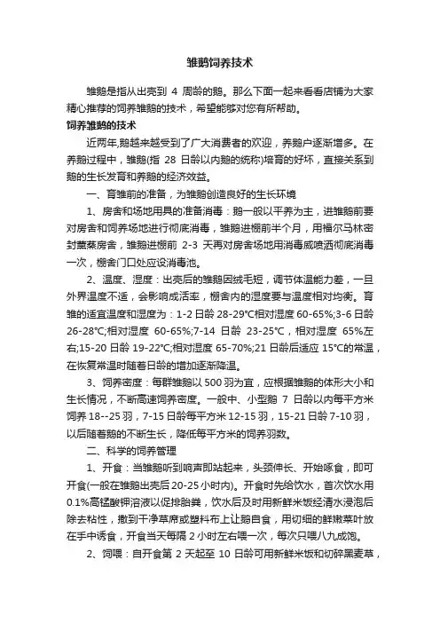 雏鹅饲养技术