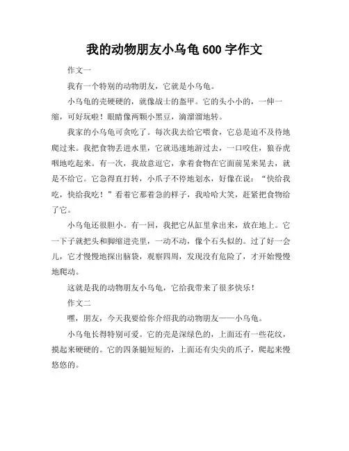 我的动物朋友小乌龟600字作文