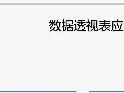 数据透视表应用技巧讲义(PPT 47张)