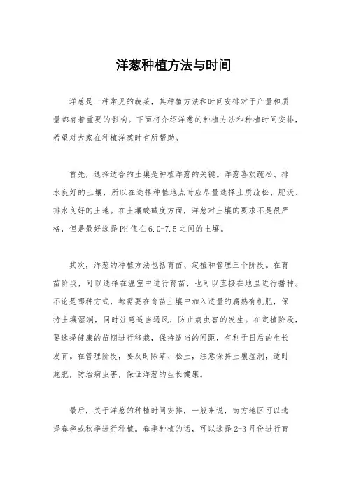 洋葱种植方法与时间
