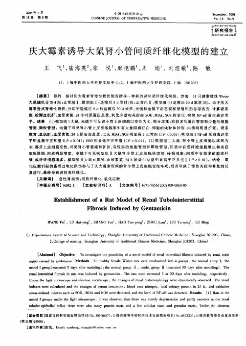 庆大霉素诱导大鼠肾小管间质纤维化模型的建立