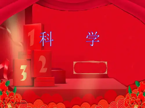 五年级科学上册 第3课《树木中的纹路》课件(3) 小学五年级上册自然科学课件