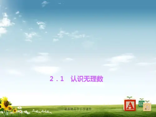 北师大版八年级数学上册：2-1《认识无理数》ppt课件PPT课件