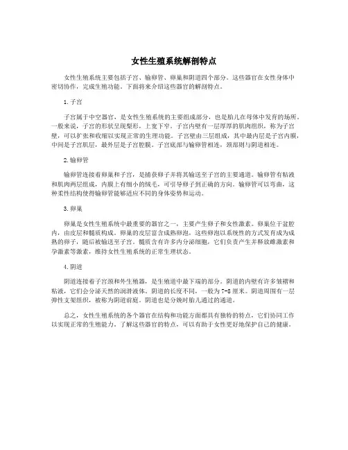 女性生殖系统解剖特点