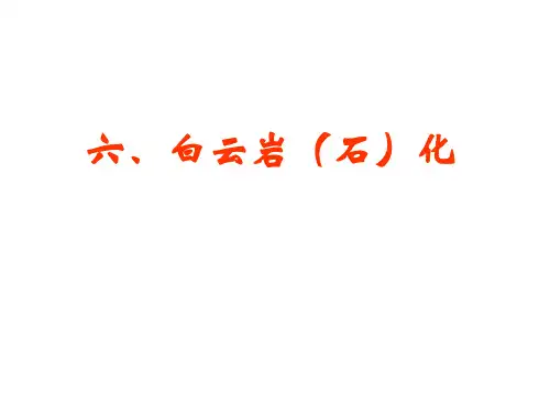 白云岩(石)化和研究实例