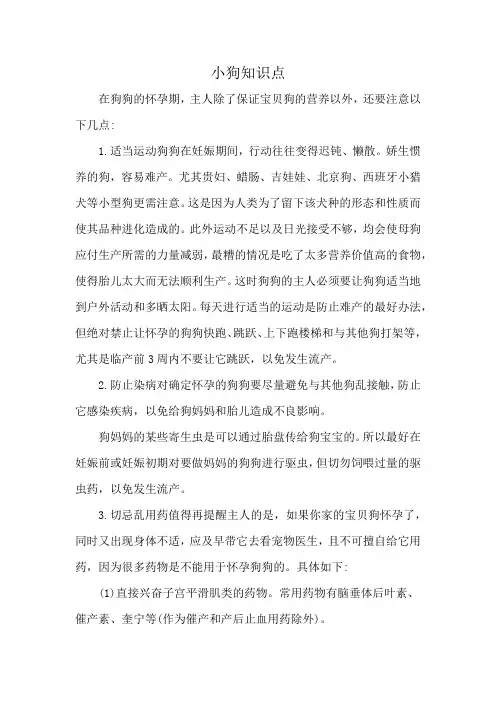 小狗知识点