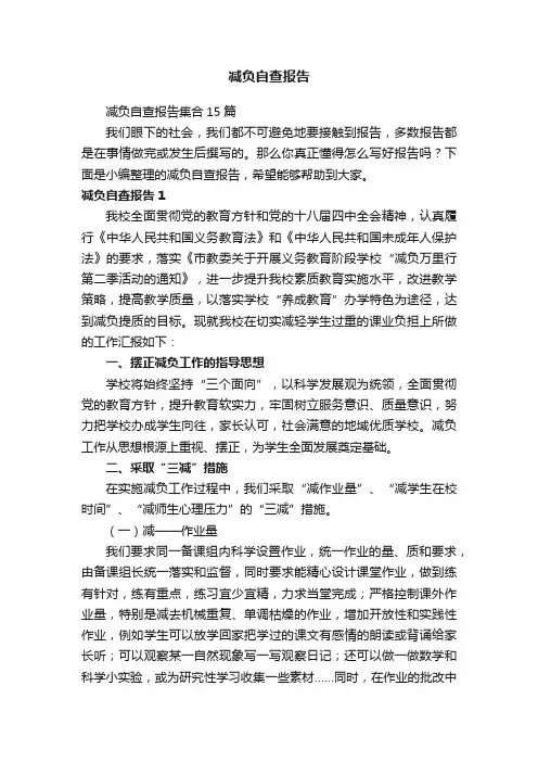 减负自查报告