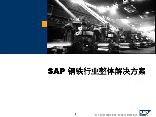 SAP钢铁整体解决方案