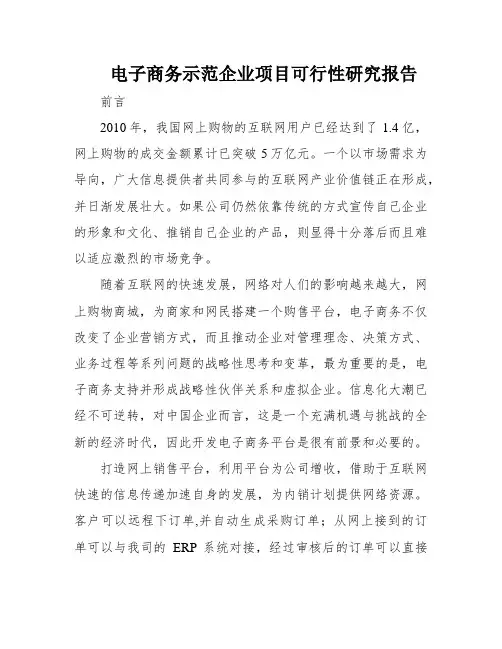 电子商务示范企业项目可行性研究报告