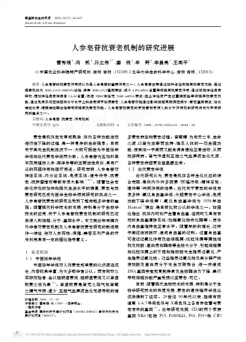 人参皂苷抗衰老机制的研究进展