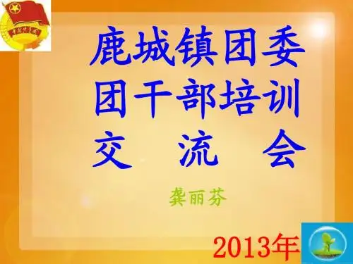 乡镇团委团干部培训课件