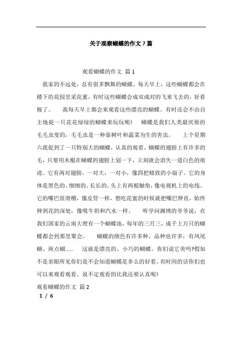 关于观察蝴蝶的作文7篇
