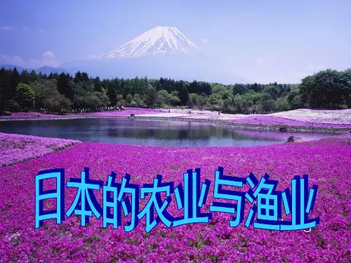 日本的农业与渔业