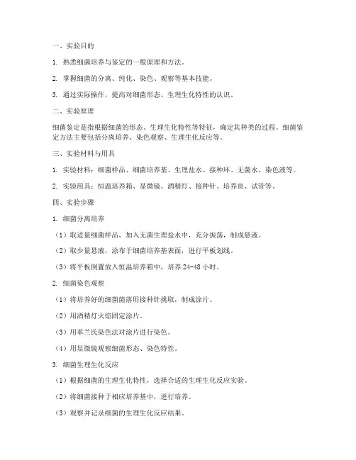 细菌鉴定实习实验报告