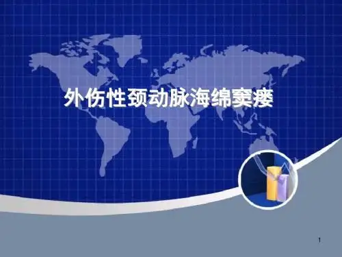 颈动脉海绵窦瘘ppt课件