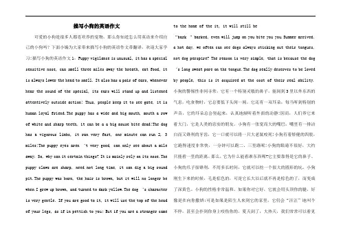 描写小狗的英语作文