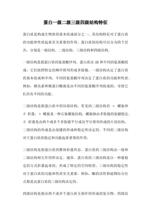蛋白一级二级三级四级结构特征