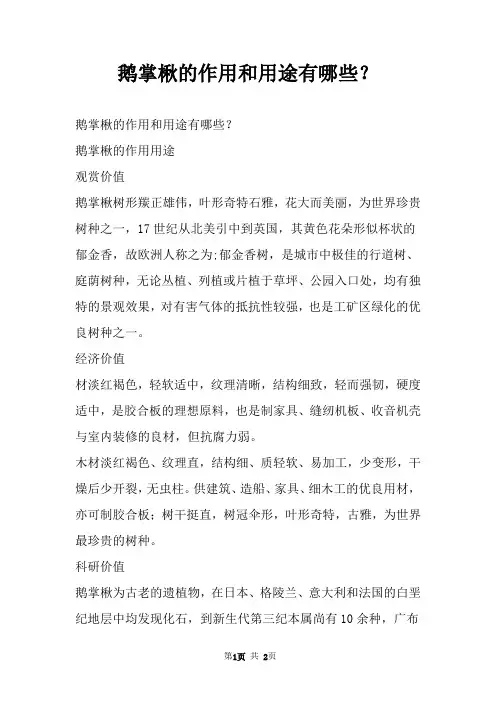 鹅掌楸的作用和用途有哪些？