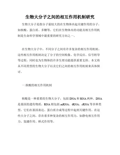 生物大分子之间的相互作用机制研究