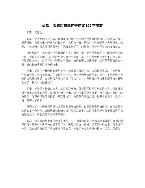 那次,真感动初三优秀作文800字左右