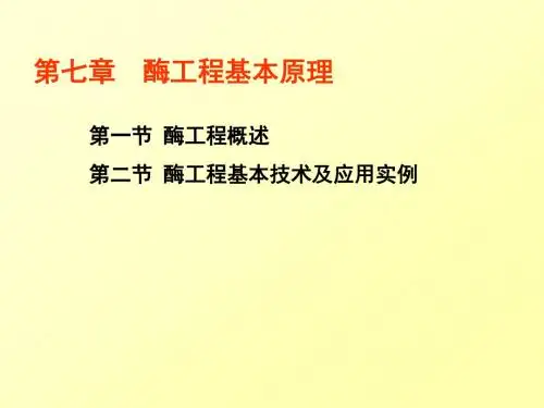 第一节酶工程概述