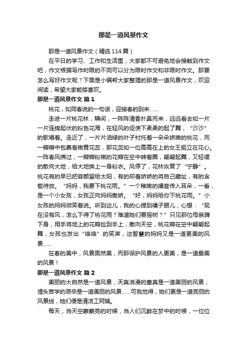 那是一道风景作文（精选114篇）