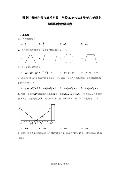 黑龙江省哈尔滨市虹桥初级中学校2024-2025学年九年级上学期期中数学试卷