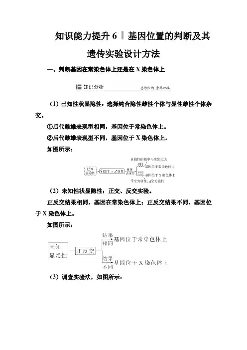 新教材高考生物选择性考试一轮总复习知识能力提升6基因位置的判断及其遗传实验设计方法
