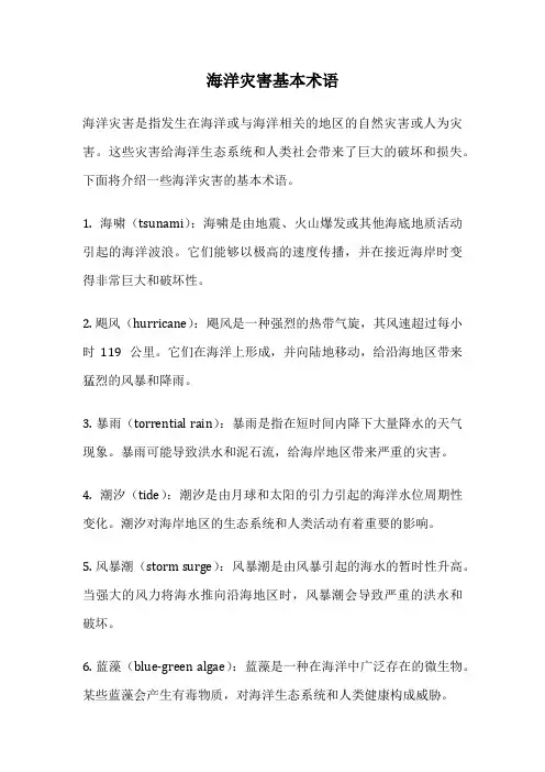海洋灾害基本术语